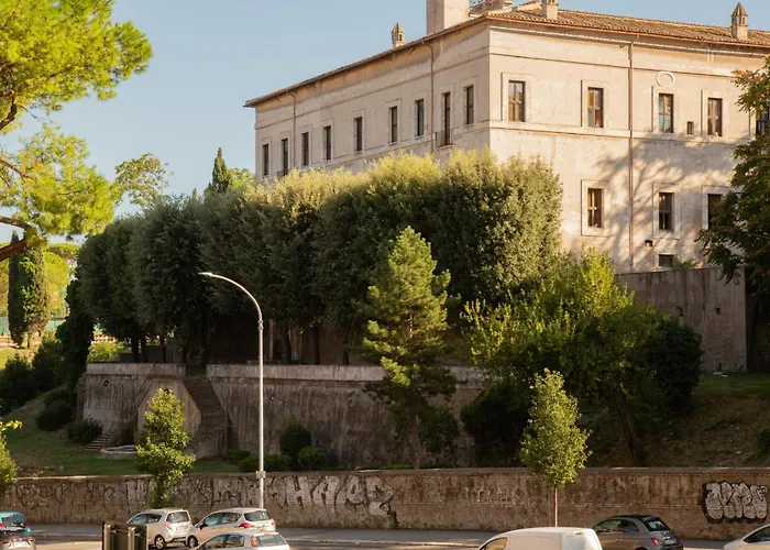 Ficus Corner - Vatican